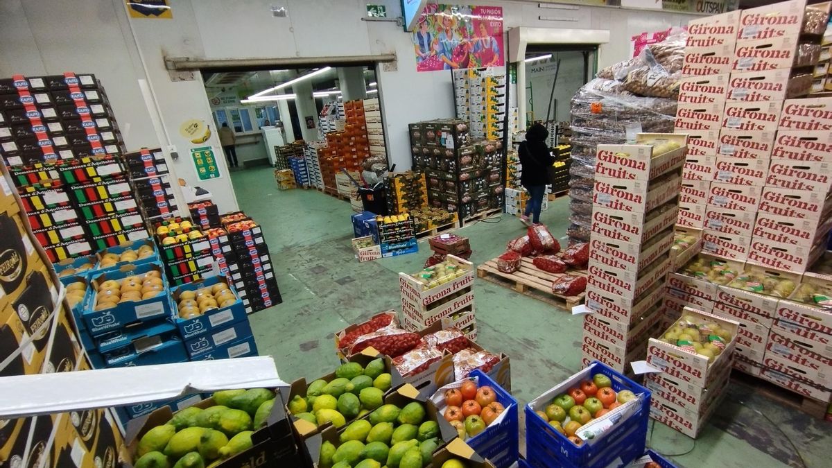 El Gobierno vasco no tiene compradas las parcelas para el traslado a Ortuella de Mercabilbao que anunció en 2022