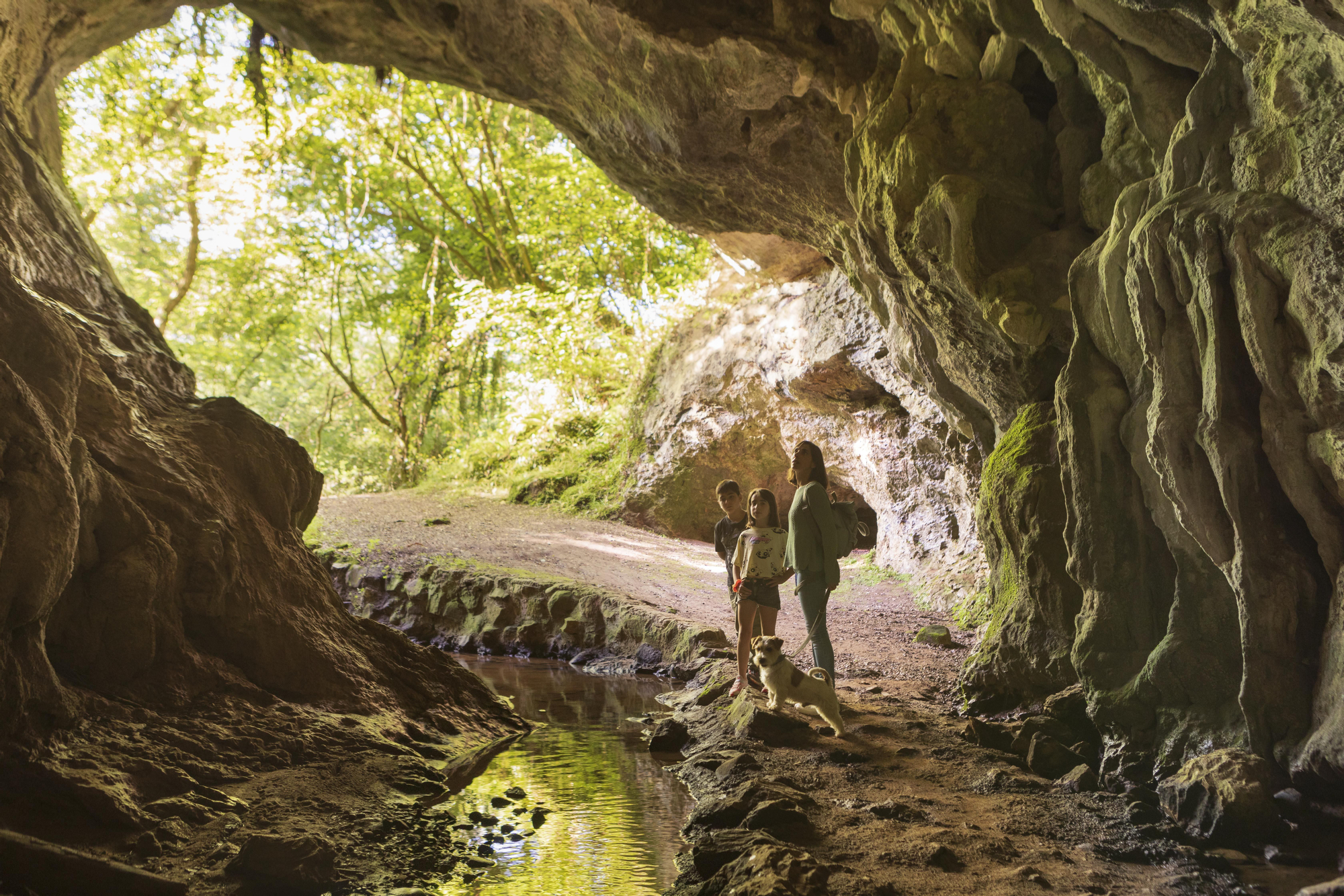 Naturaleza y sidra, una combinación perfecta