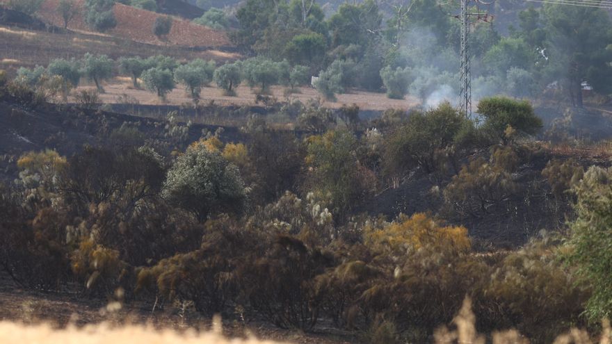 CSIF denuncia falta de plantilla y de medios para afrontar campaña de incendios forestales