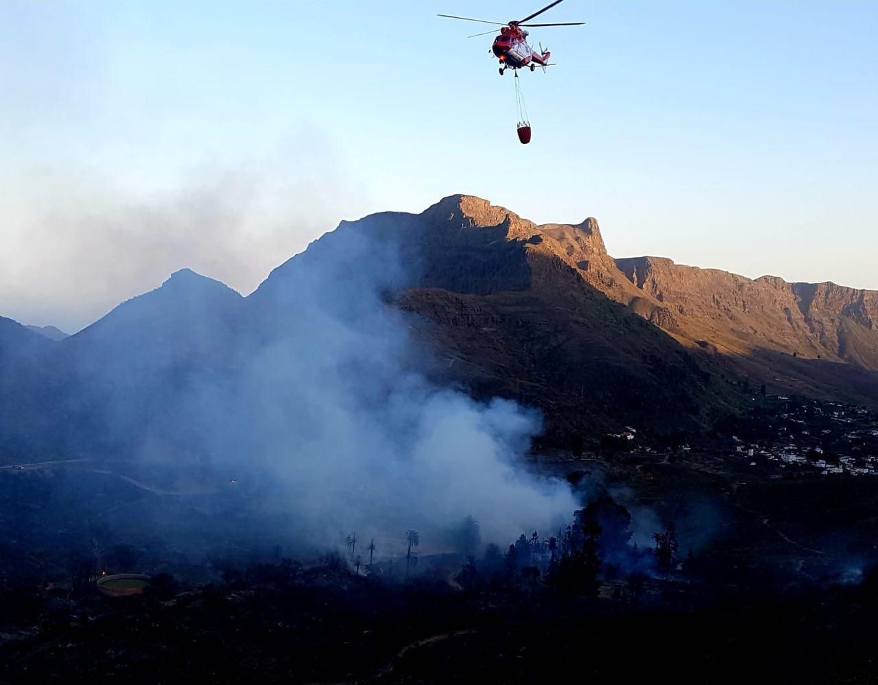 El fuego calcina 35 hectáreas de palmeral en Fataga
