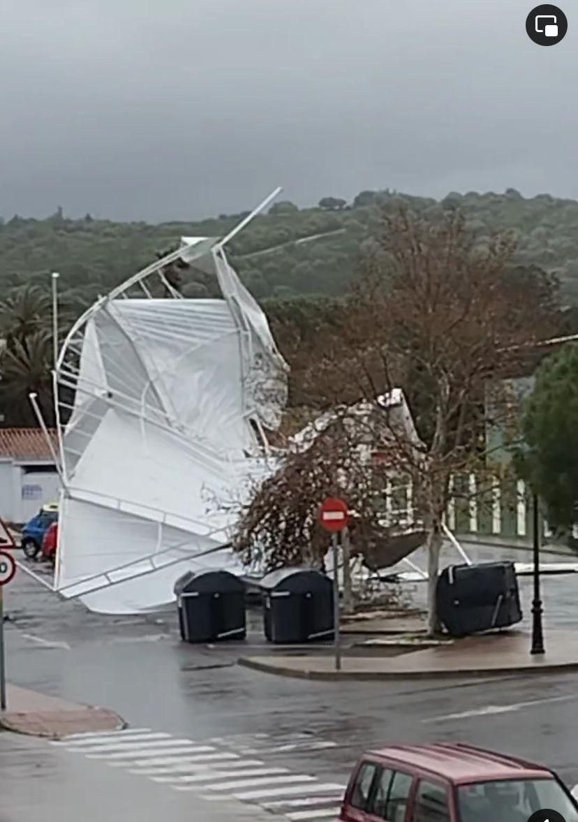 El temporal de viento provoca el derrumbe de la carpa para la Fiesta de la Tagarninada en Los Barrios