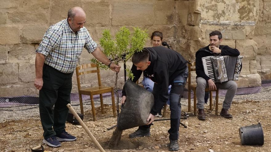 El almendro que nació del pecho del alcalde riojano fusilado en la Guerra Civil