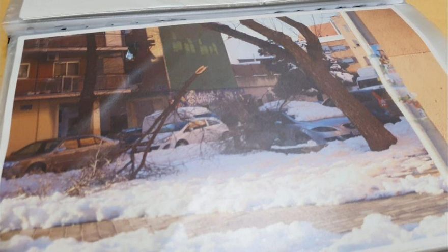 Otra de las fotografías que acompañan el expediente de daños remitido por el Ayuntamiento de Madrid al Gobierno de España tras Filomena.