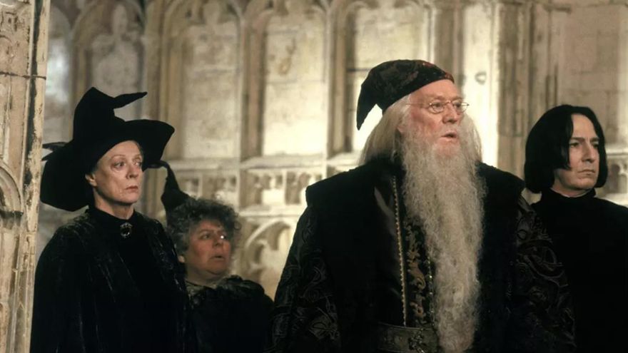 La serie de 'Harry Potter' anunció a los actores que serán Dumbledore, McGonagall, Snape o Hagrid