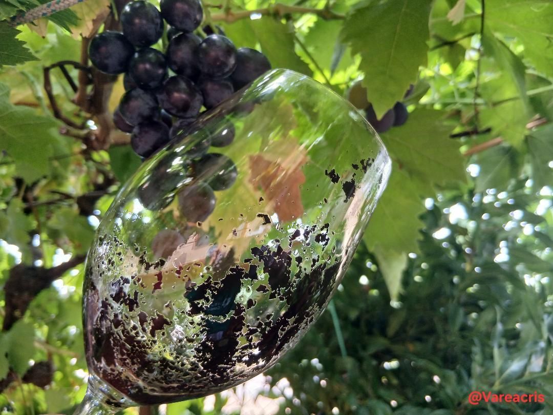 Todas las fotos del concurso 'Disfruta La Rioja' (Parte 2)