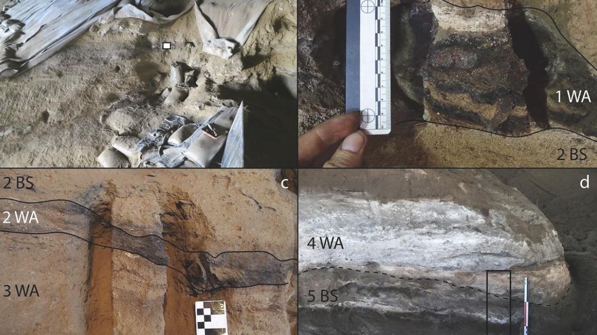 Los ocupantes de Border Cave renovaban los lechos con frecuencia