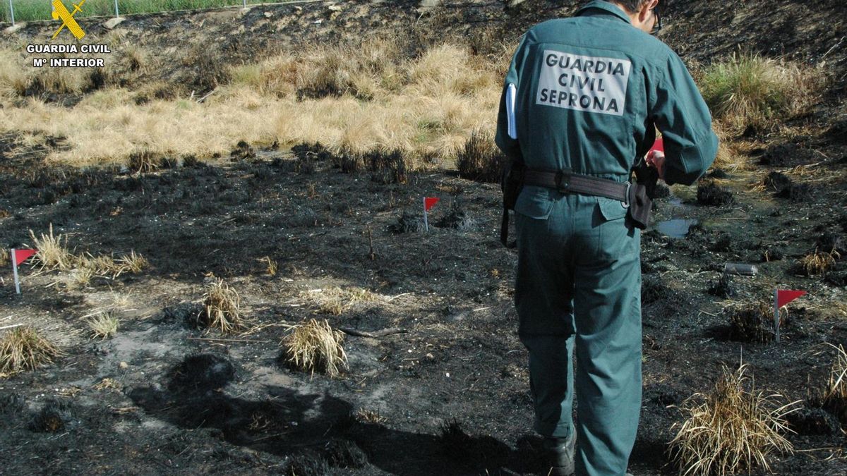 La Guardia Civil investiga en Palencia a cinco personas por cuatro incendios forestales y un fuego en una nave agrícola