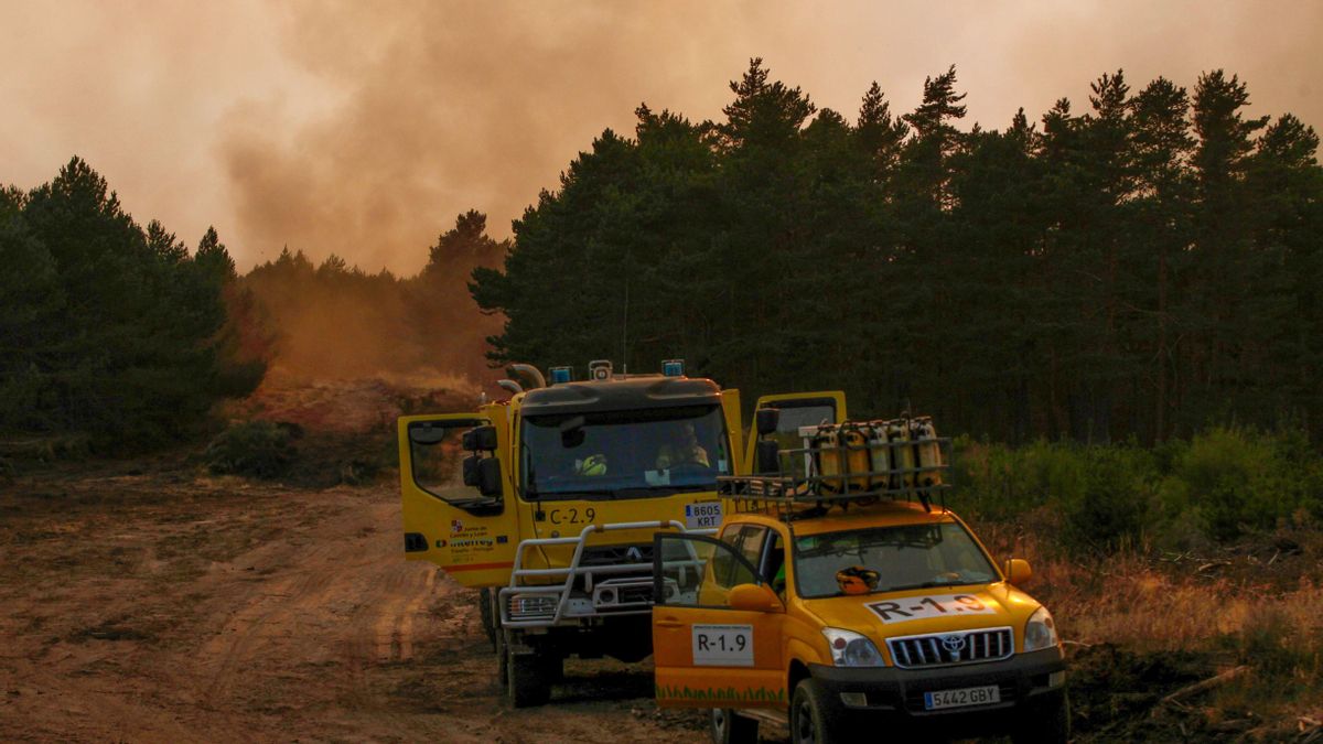 La Fiscalía investiga si los municipios más afectados por los incendios contaban con los planes de prevención que exige la ley