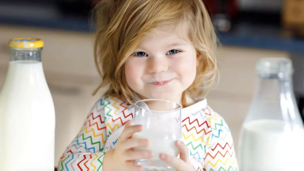 Día Mundial de la Leche: ¿por qué se celebra el 1 de junio?