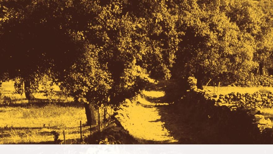 Un libro radiografía los caminos rurales andaluces: “La falta de normativa conduce a la conflictividad”