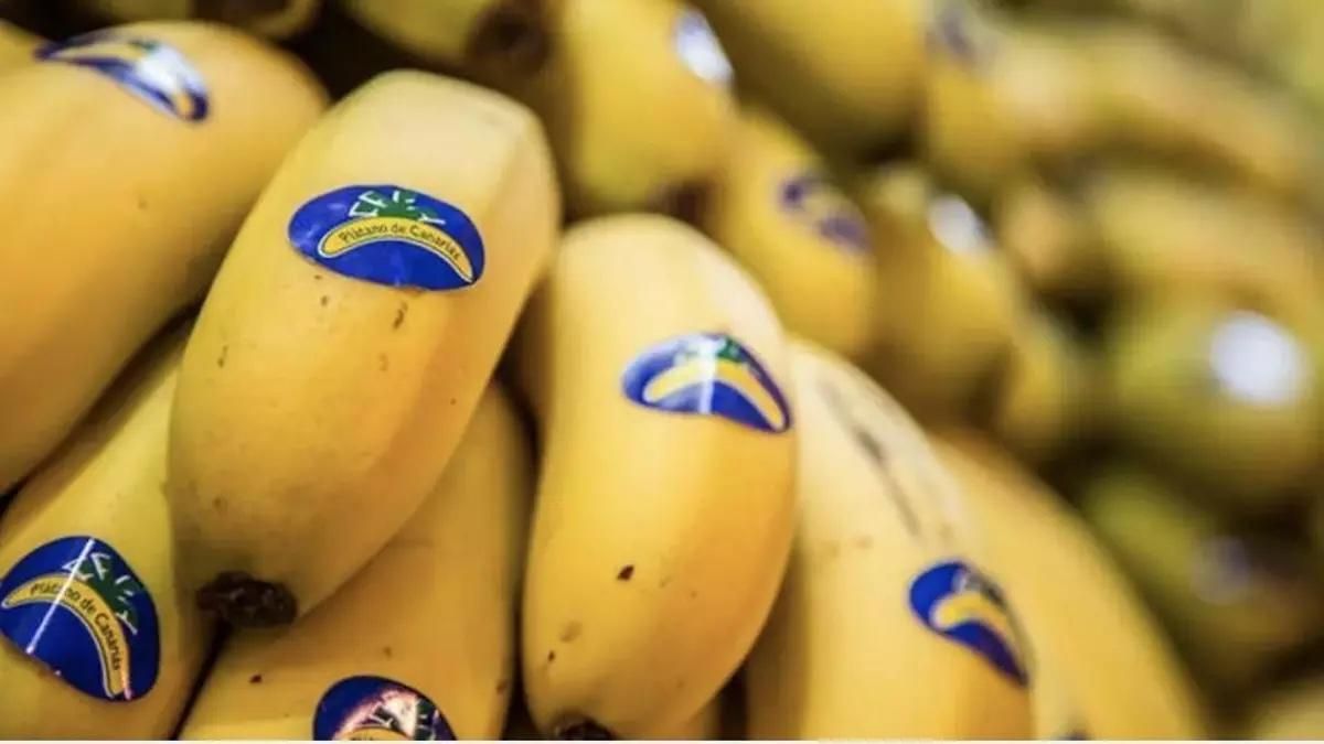 El precio del plátano comienza el año estable, con una leve subida del 0,3 % en origen