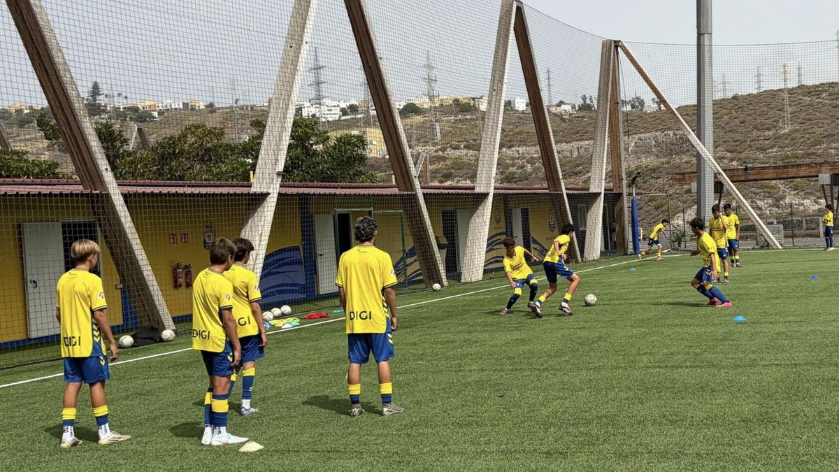 La Fundación UD Las Palmas ya tiene protocolo de contratación de personal que trabaje de manera habitual con menores de edad