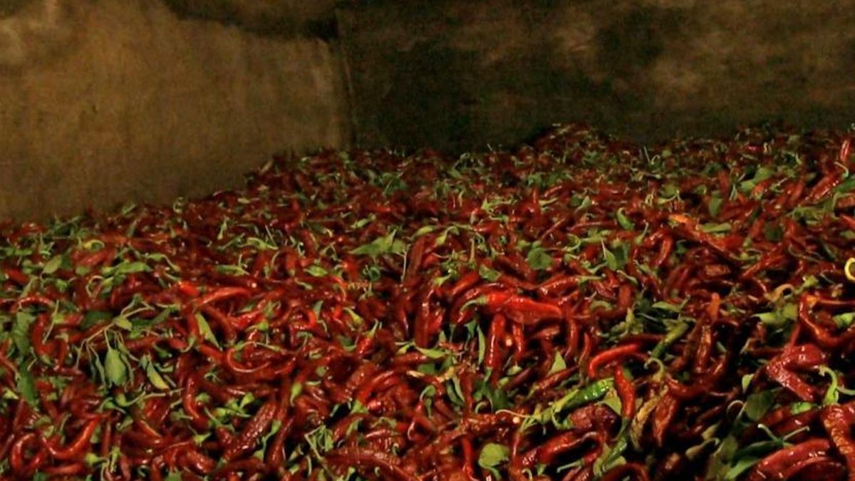 El secadero es el elemento imprescindible para la elaboración de pimentón