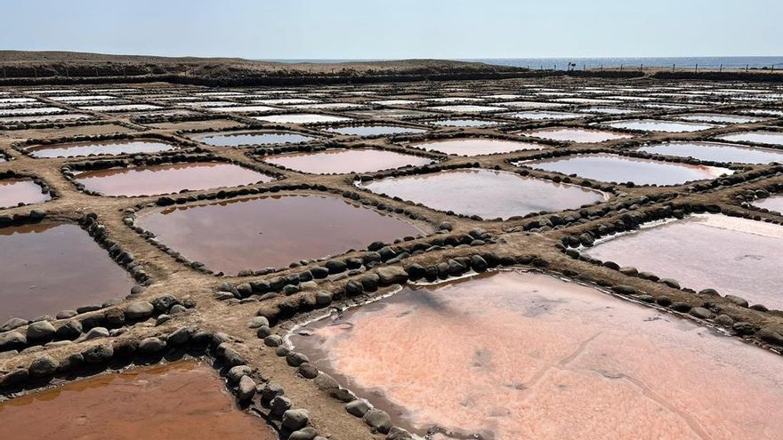 Salinas de Tenefé