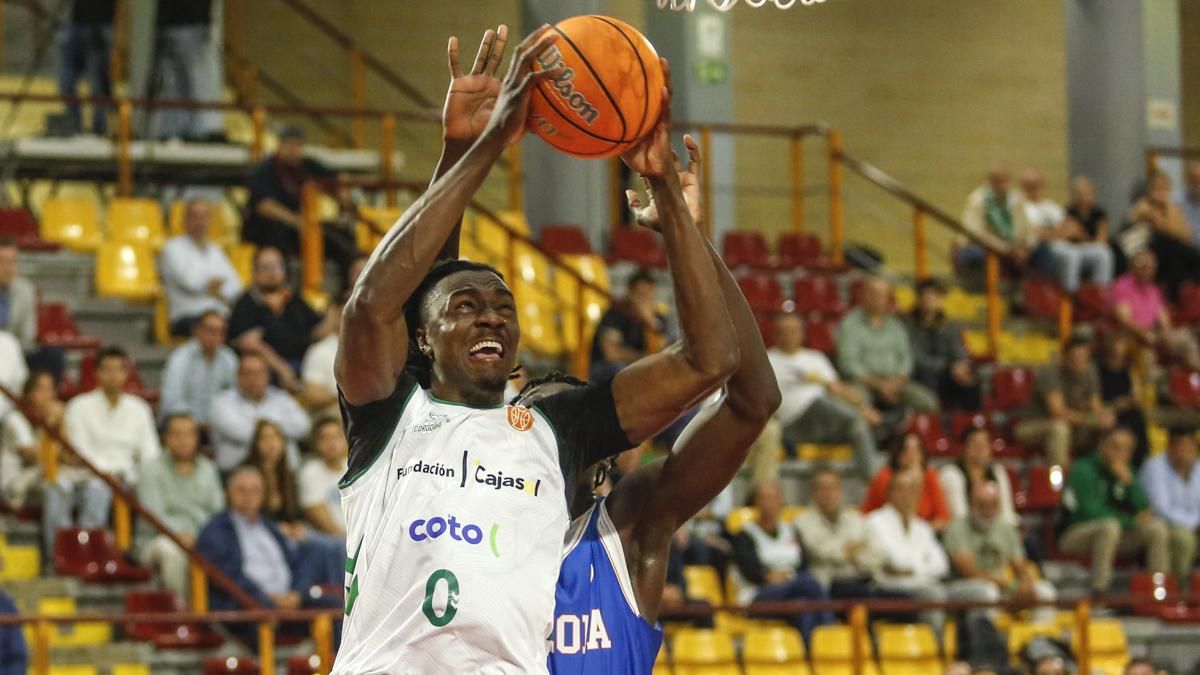 Cajasol Coto Córdoba CB - Tizona Burgos