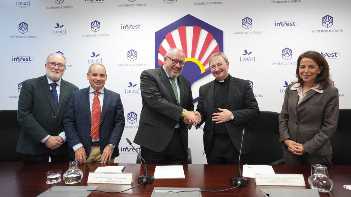 La UCO analizará los materiales de zonas de la Mezquita-Catedral para una futura restauración