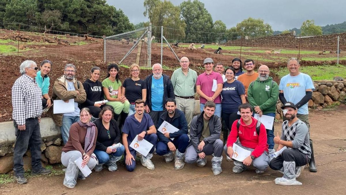La II Escuela Canaria de Jueces de Cabra Palmera consolida su apuesta por la formación ganadera