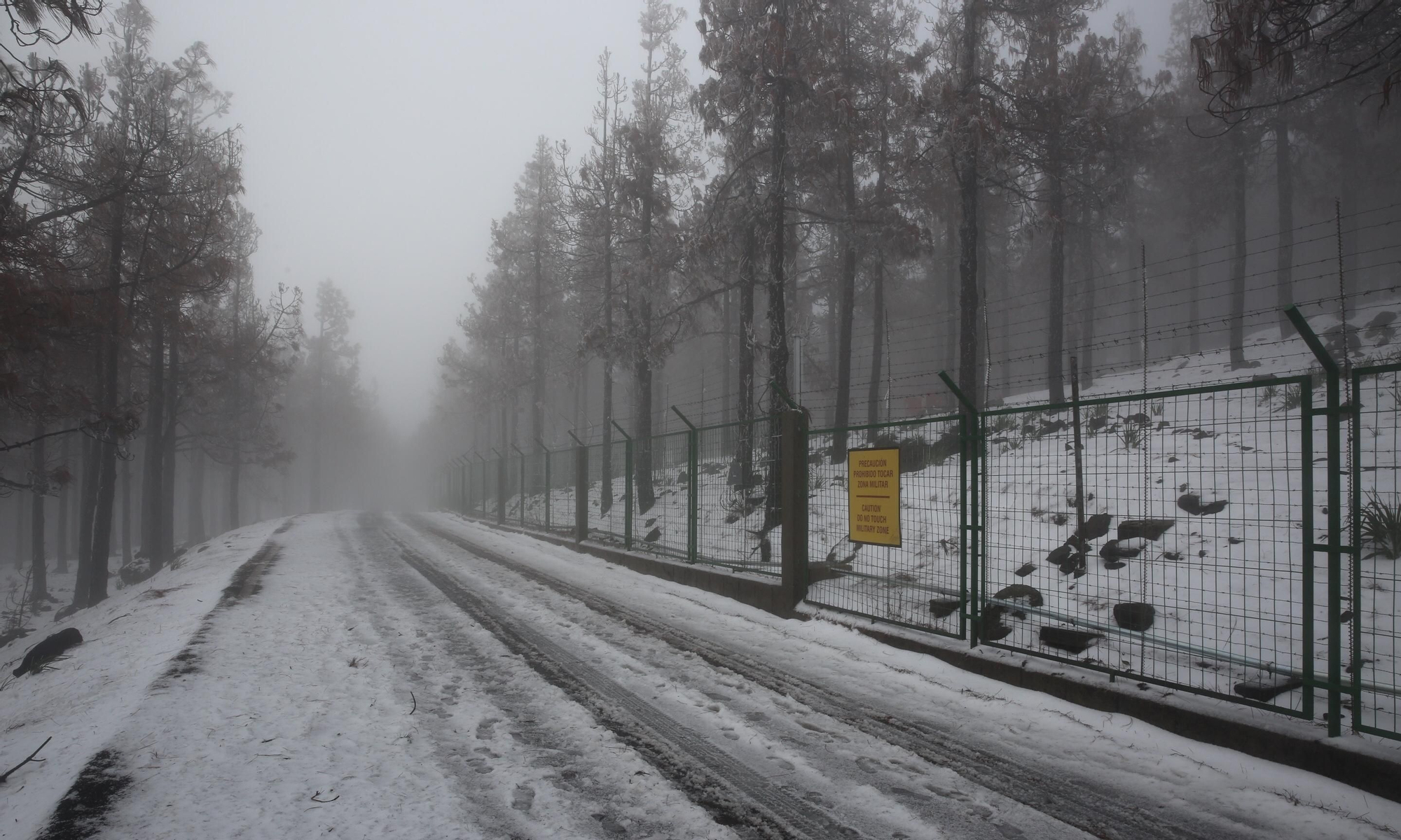 Alrededores del Pico de Las Nieves cubiertos de nieve