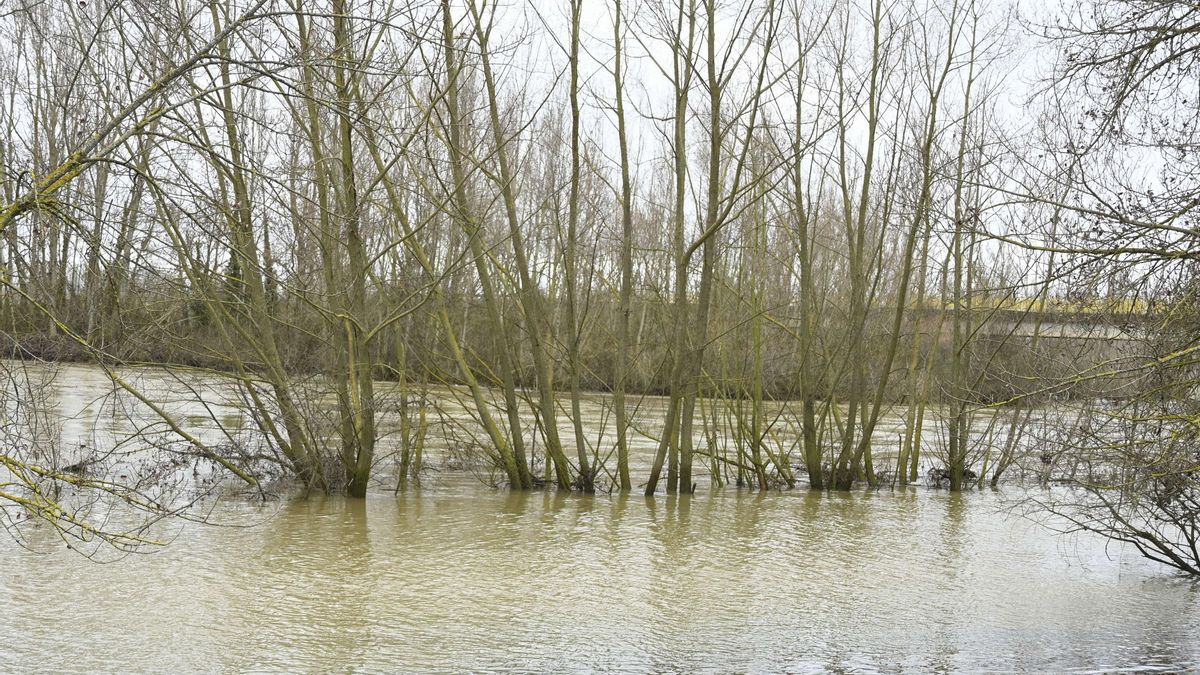 Toda Castilla y León salvo Valladolid están en aviso este miércoles por deshielos