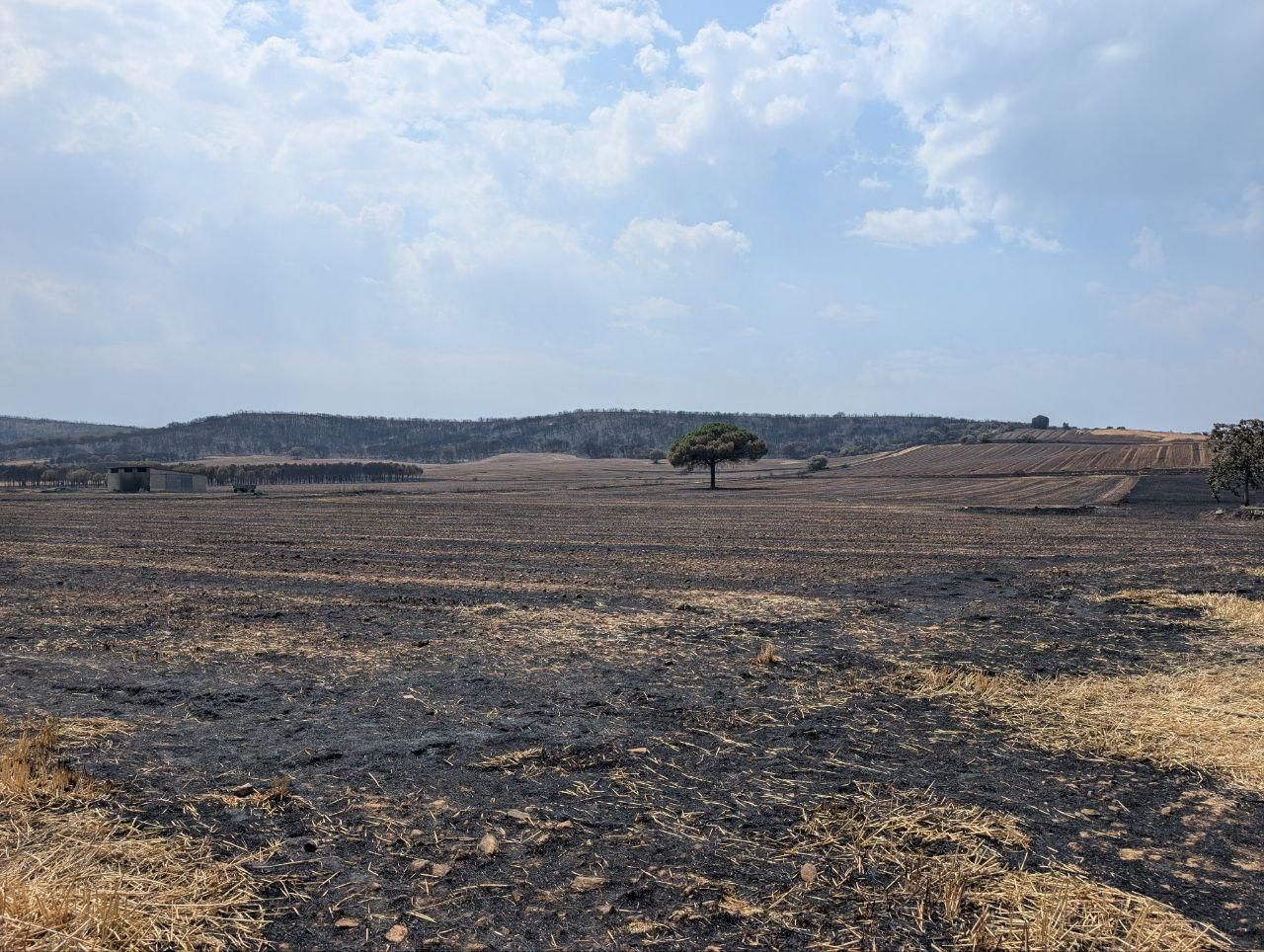 Genestacio de la Vega. / Antonio Vega ILEÓN