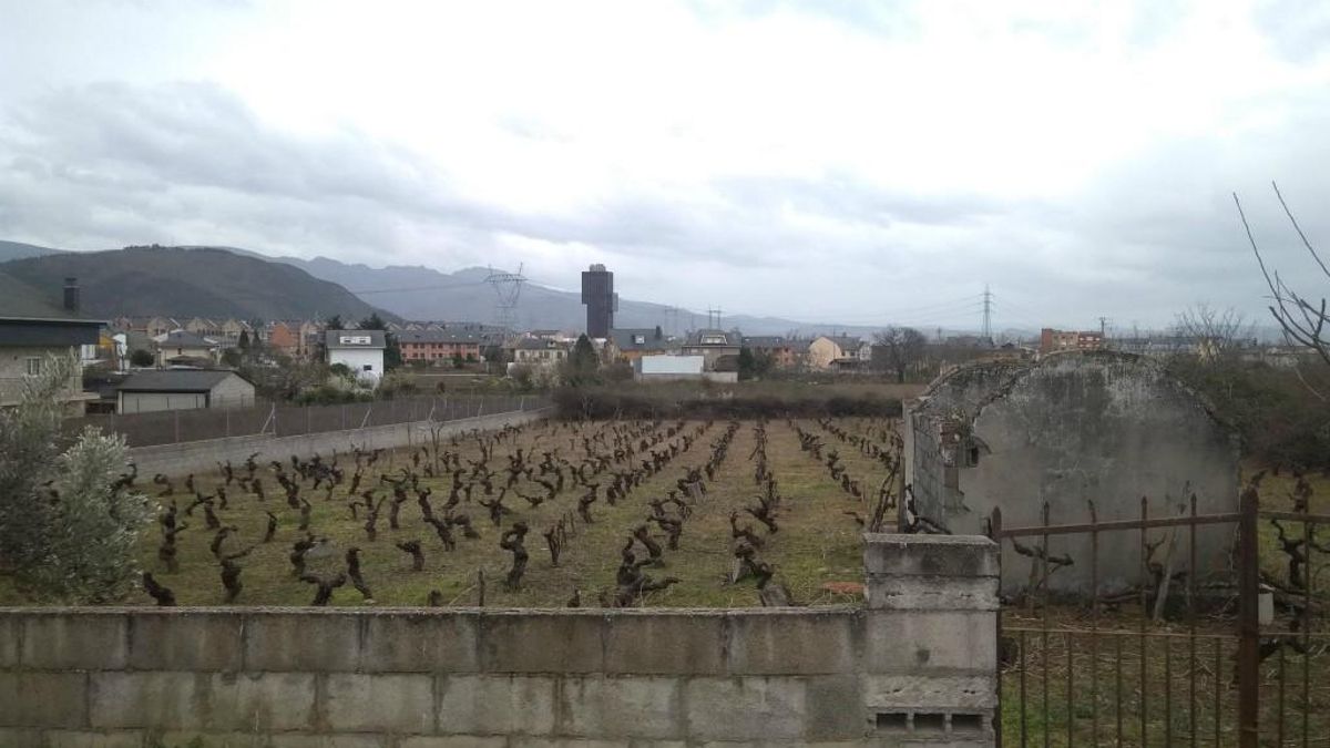 El tiempo en León hoy, 3 de marzo: la Aemet sitúa las máximas por encima de los 15 grados