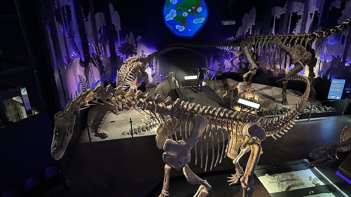 Sala dedicada al Jurásico en el Museo Paleontológico Egidio Feruglio de Trelew.