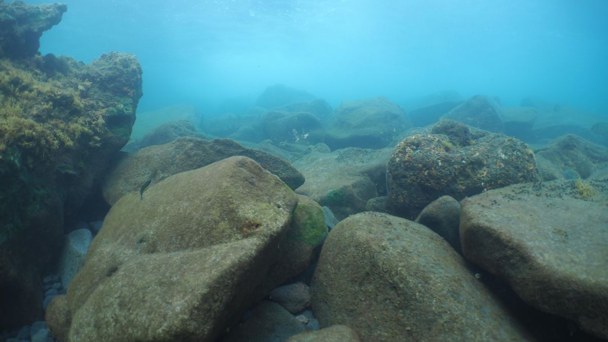 Fondos oceánicos acidificados en Fuencaliente, La Palma