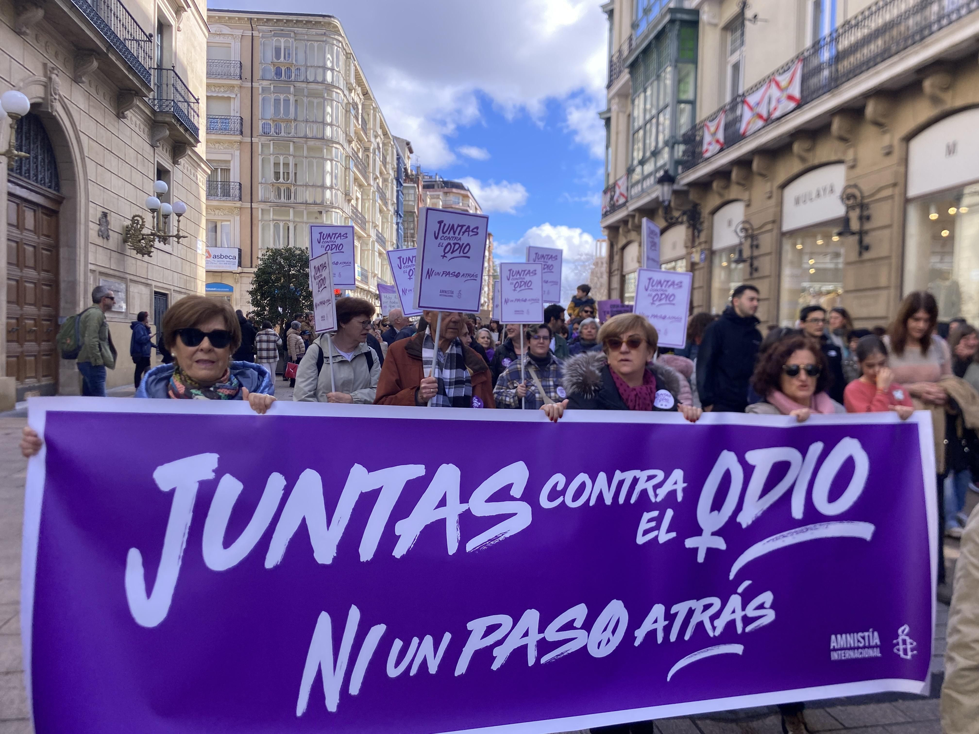 La manifestación de 8M en Logroño, en imágenes