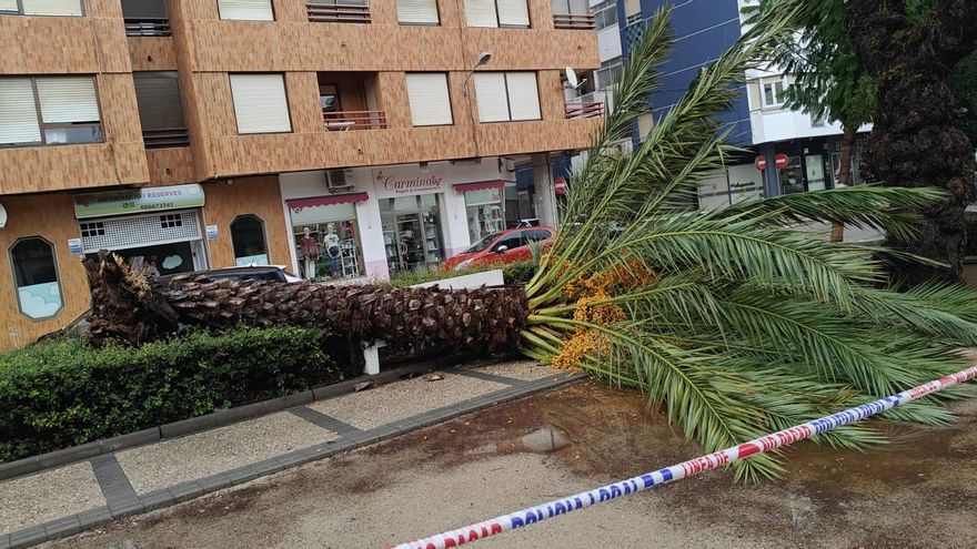 El temporal se abre paso en la Comunitat Valenciana: viento huracanado, granizo y clases suspendidas