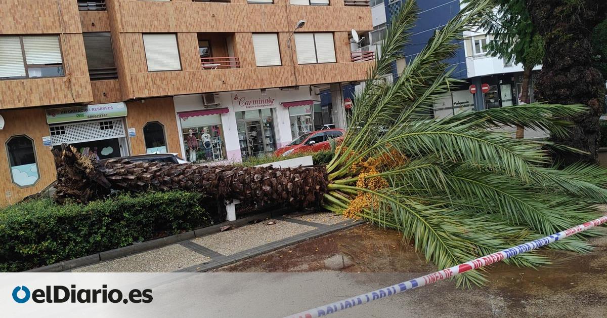 El temporal se abre paso en la Comunitat Valenciana: viento huracanado, granizo y clases suspendidas