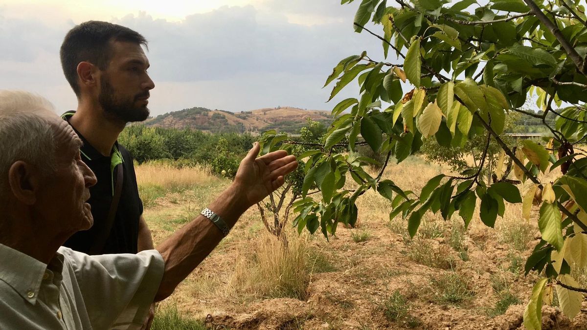 Los Frutos del Tiempo