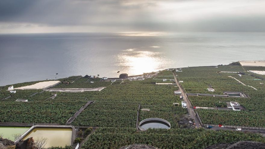 La reducción del área de exclusión marítima por el volcán permitirá reactivar la pesca en la zona