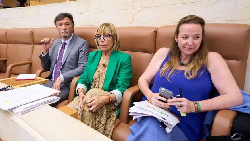 Vox exhibe sin tapujos su crisis interna y amenaza con su descomposición en el Parlamento de Cantabria