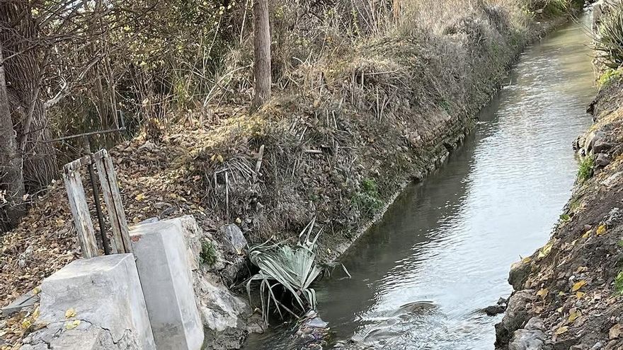 La pugna legal por las acequias de la Huerta de Murcia: "Proteger esta red milenaria es necesario para el futuro"