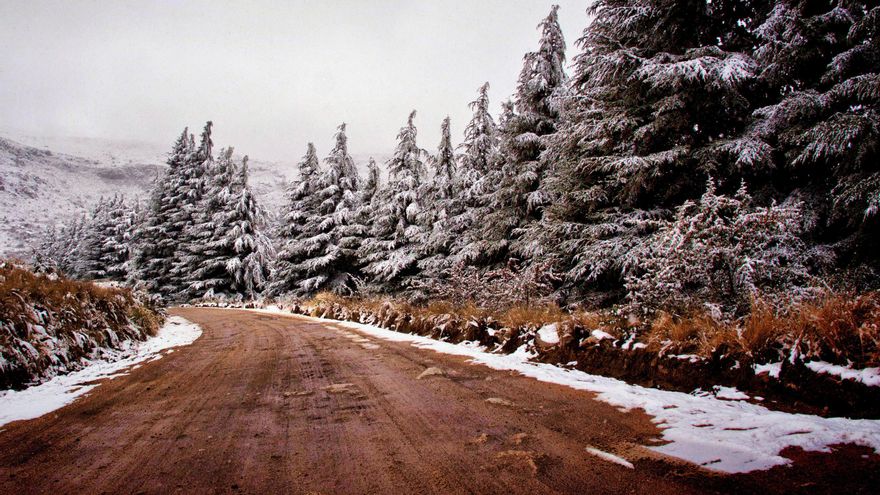 Clima extremo en la Argentina: la ola polar no da tregua y hay pronóstico de "heladas negras"