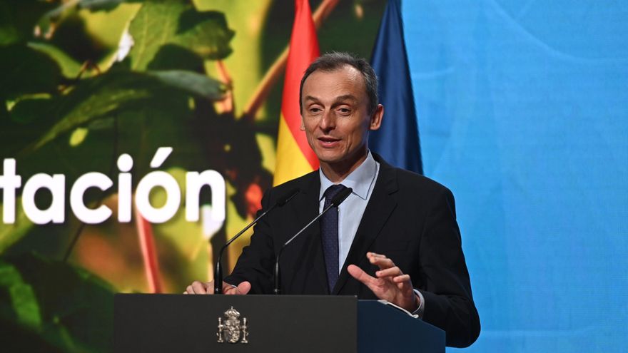 El ministro de Ciencia e Innovación, Pedro Duque. EFE/ Fernando Villar/Archivo