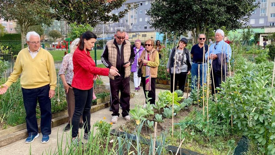 Huertos urbanos de Santander.