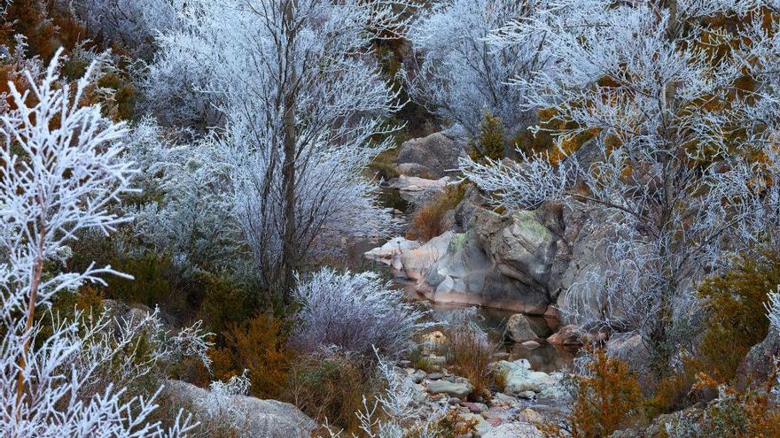 El Valle del Iregua y dos mochuelos, en las imágenes premiadas en el Concurso Fotográfico de Naturaleza