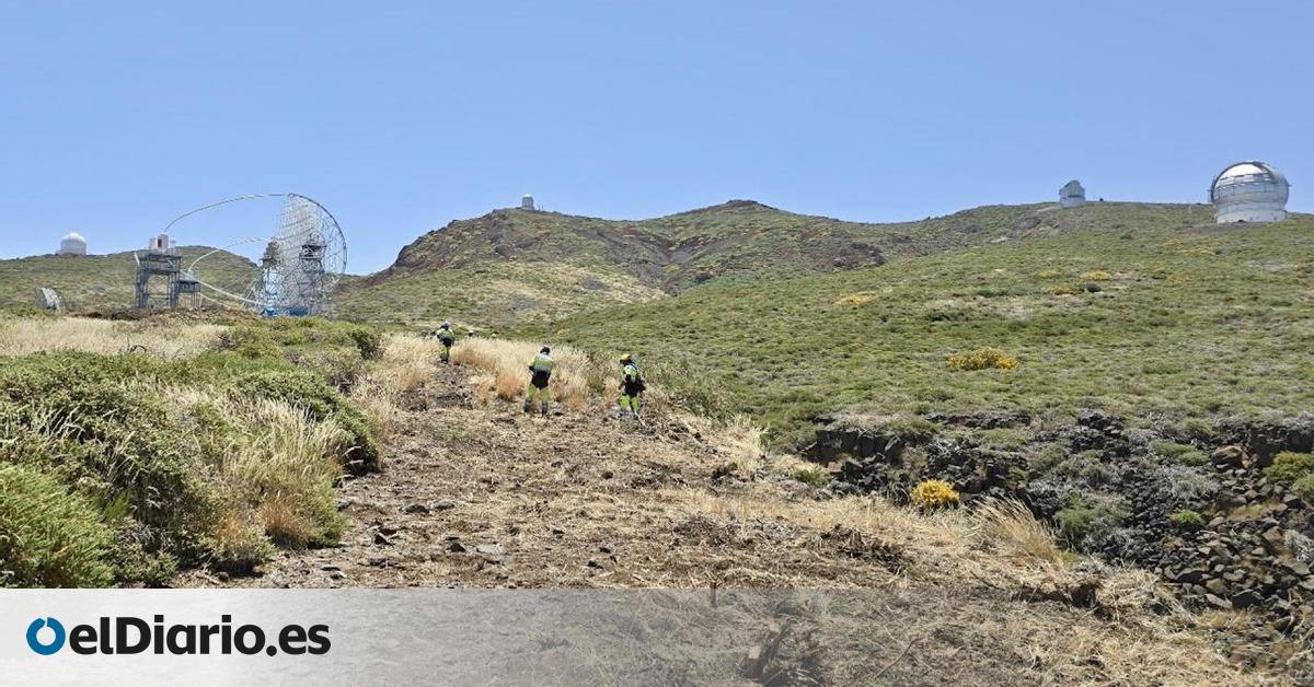 El IAC colabora en un simulacro de emergencia forestal de importancia estratégica para La Palma