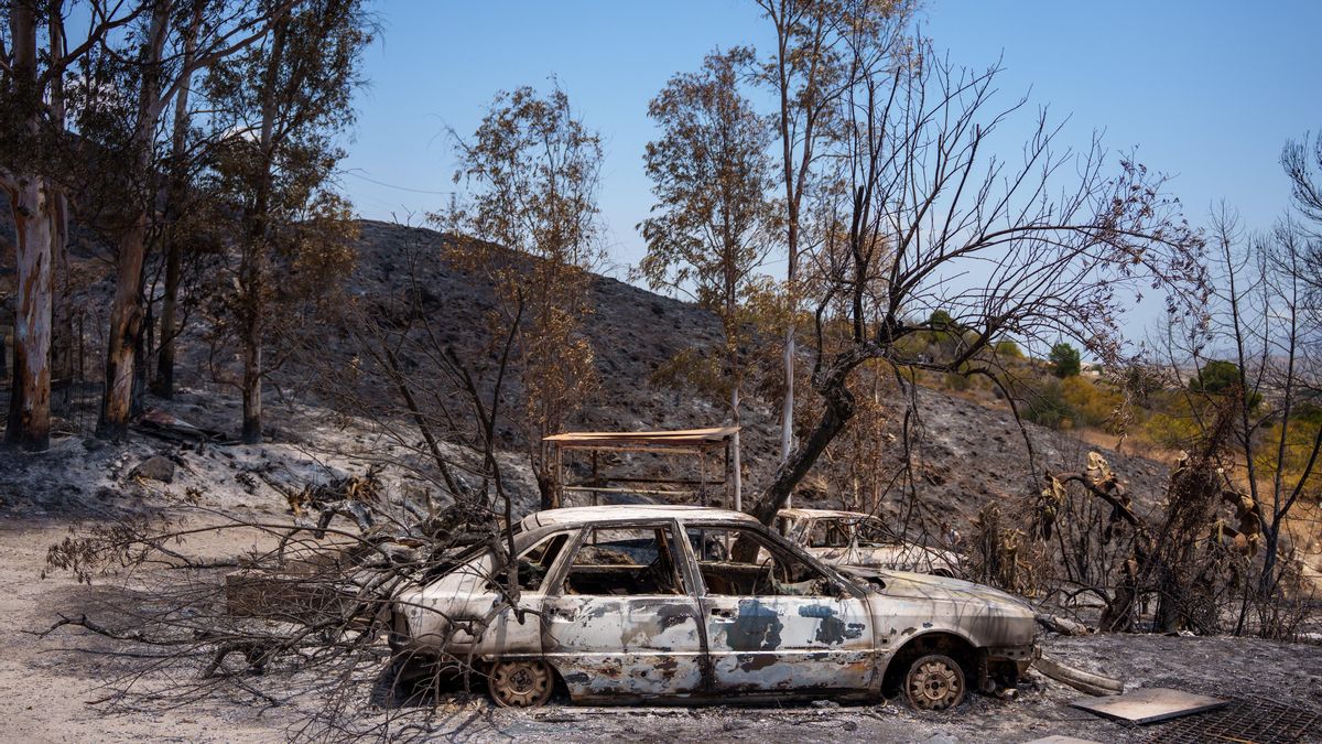 Archivo - Zona afectada por el incendio de Los Gallardos (Almería).