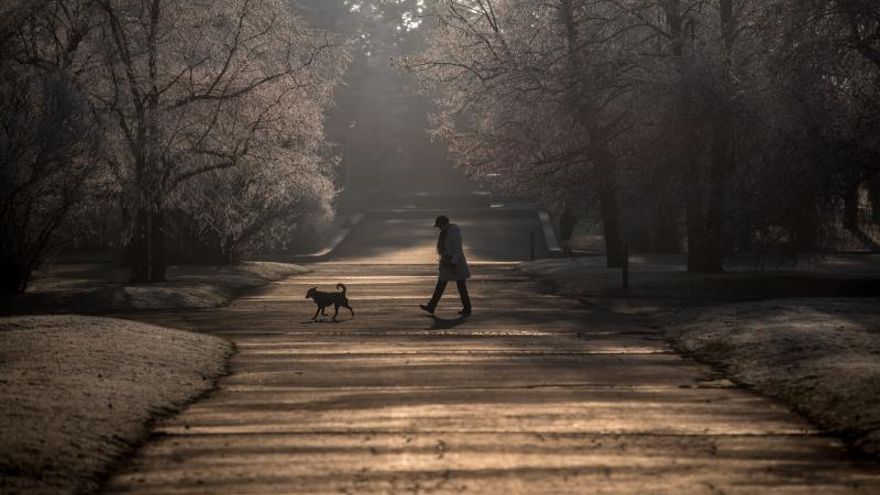Una mujer pasea a su perro en el Parque Letná en Praga, República Checa.