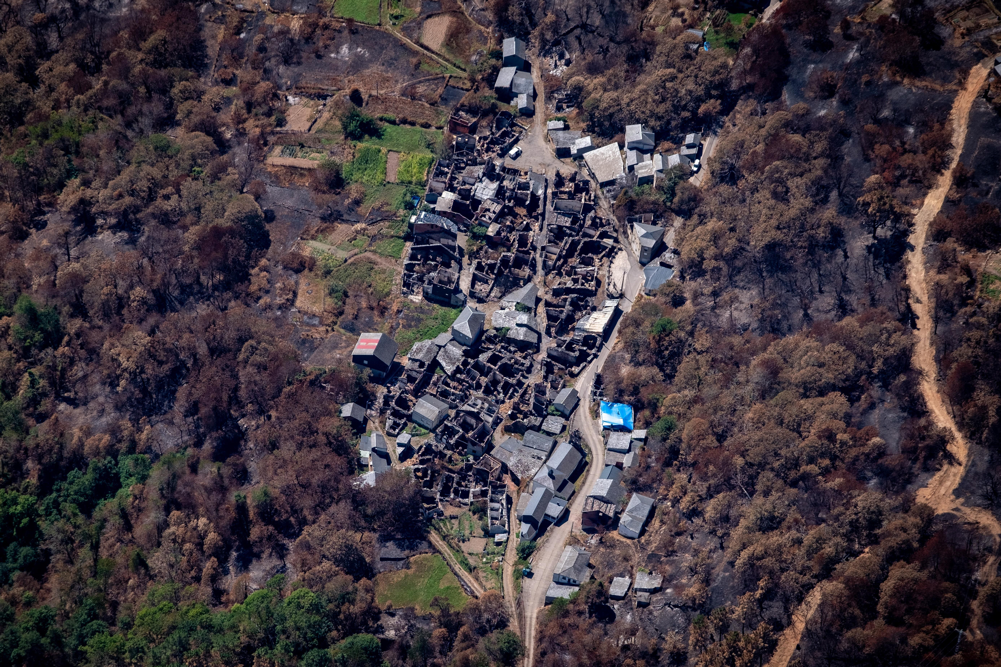30 agosto 2025. San Vicente de Leira, Ourense. Greenpeace/ Pedro Armestre