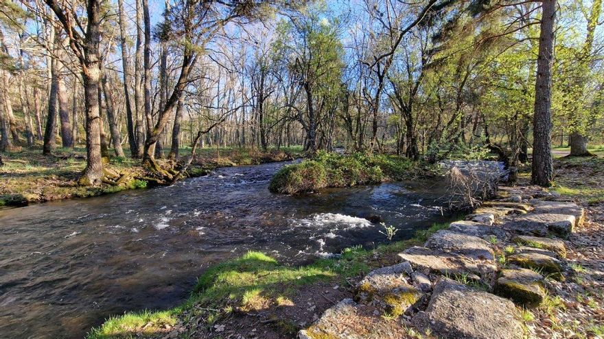 Aficionado a la pesca y enamorado de este bosque de la sierra segoviana, Carlos III mandó convertirlo en un lugar ideal para pasear y hacerse con truchas