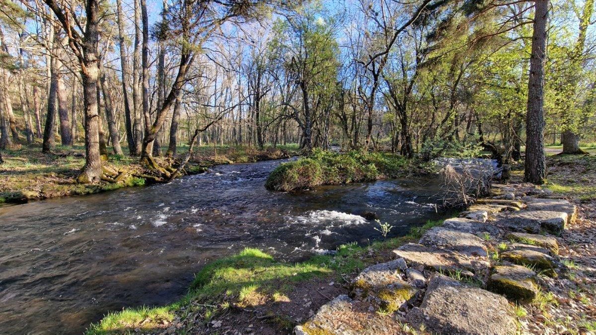 Aficionado a la pesca y enamorado de este bosque de la sierra segoviana, Carlos III mandó convertirlo en un lugar ideal para pasear y hacerse con truchas