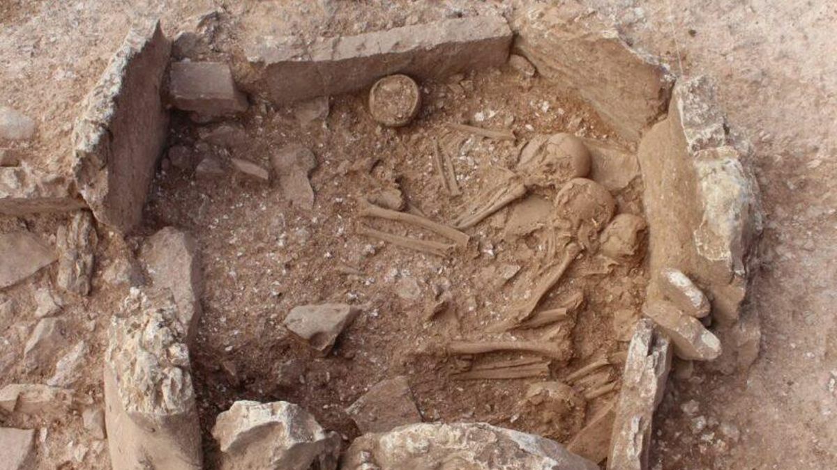 En la necrópolis de Panoría, en Granada, se han encontrado la mayoría de restos del estudio