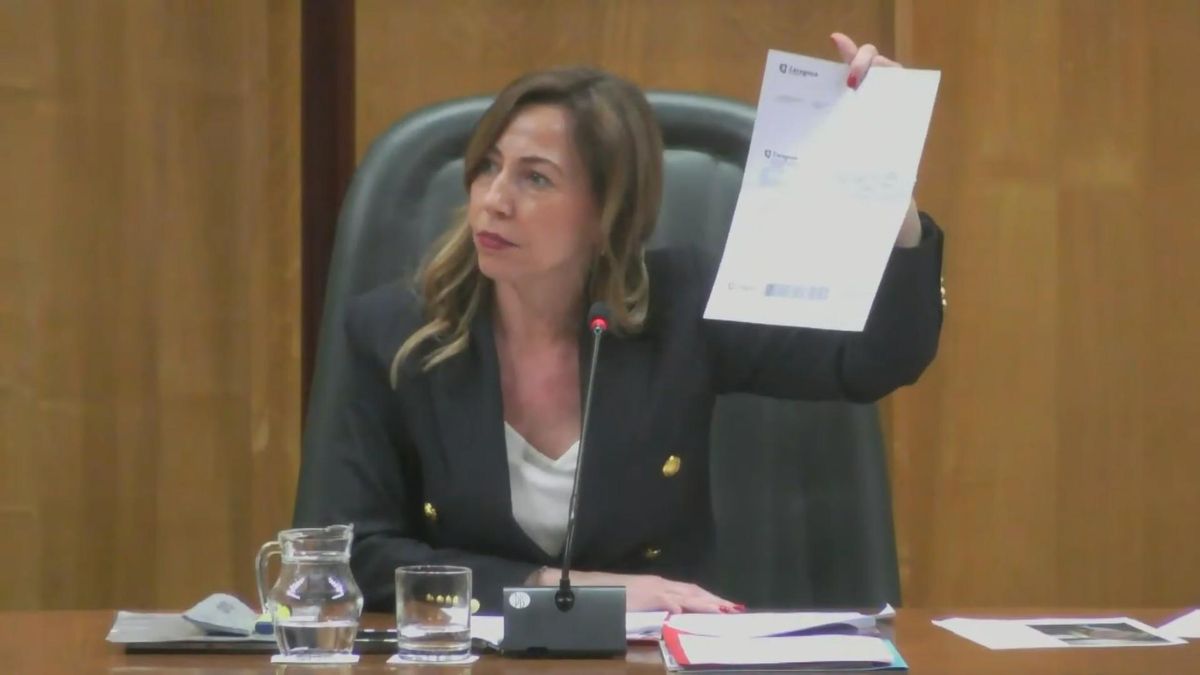 Una moción del PSOE lleva a la alcaldesa de Zaragoza a pagar la multa por circular sin cinturón en un vídeo de autobombo