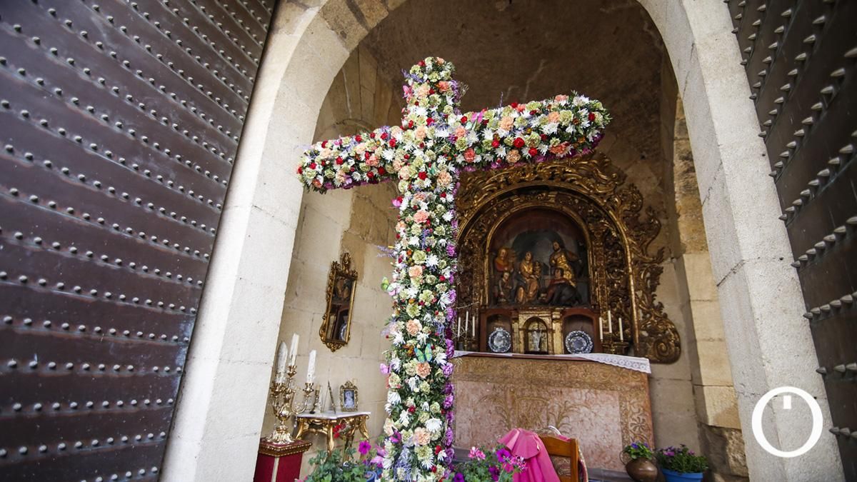 Primer premio en Recintos Cerrados Cruz de la AVV Alcázar Viejo