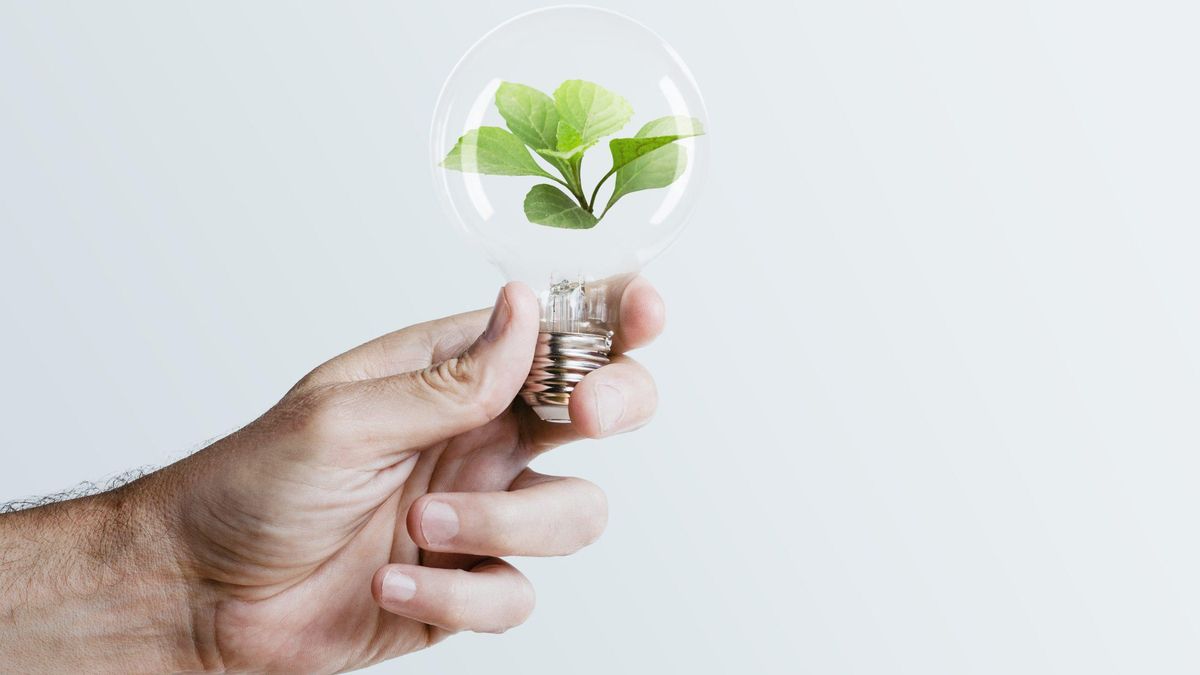 Día Mundial de la Eficiencia Energética: ¿por qué se celebra el 5 de marzo?