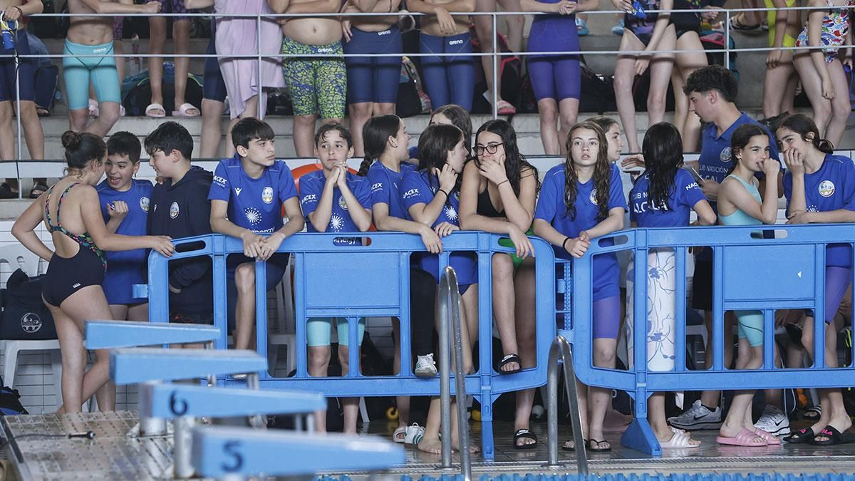 XV Trofeo Ciudad de Córdoba de Natación