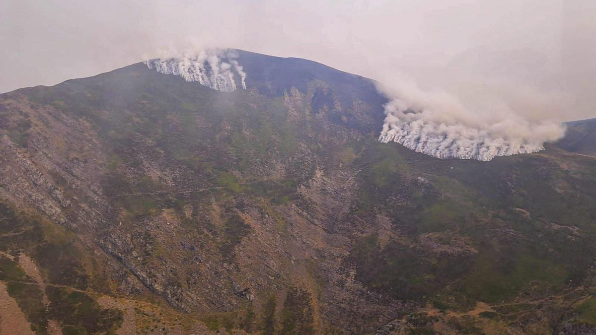 El incendio de Barniedo de la Reina afectó principalmente a hayas y robles